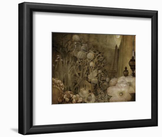 Paris-City of Flowers-Dawne Polis-Framed Art Print