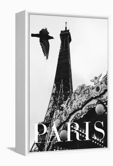 Paris Dove-Rikard Martin-Framed Premier Image Canvas