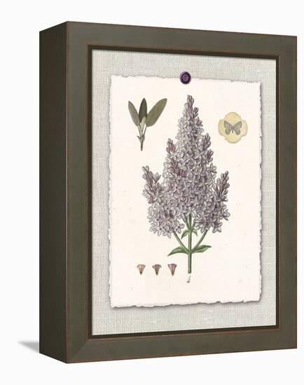 Paris Flea Market Lilacs-Devon Ross-Framed Stretched Canvas