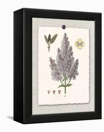 Paris Flea Market Lilacs-Devon Ross-Framed Stretched Canvas