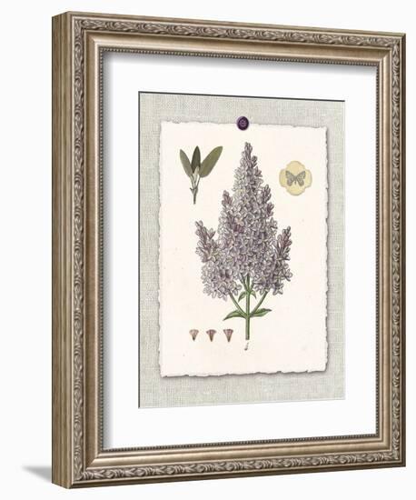 Paris Flea Market Lilacs-Devon Ross-Framed Premium Giclee Print