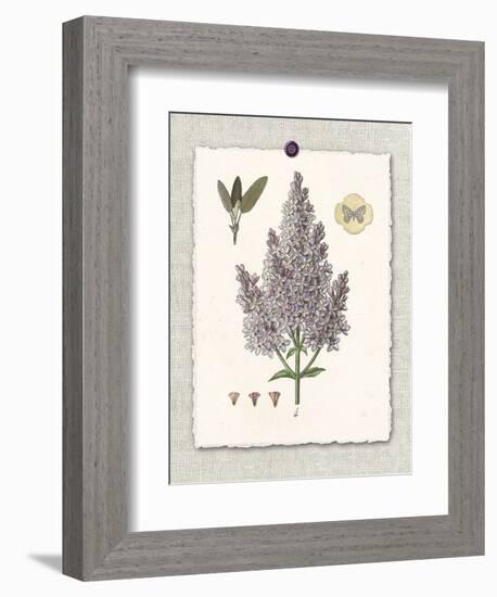 Paris Flea Market Lilacs-Devon Ross-Framed Premium Giclee Print