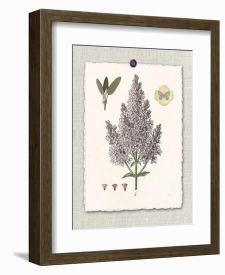Paris Flea Market Lilacs-Devon Ross-Framed Premium Giclee Print