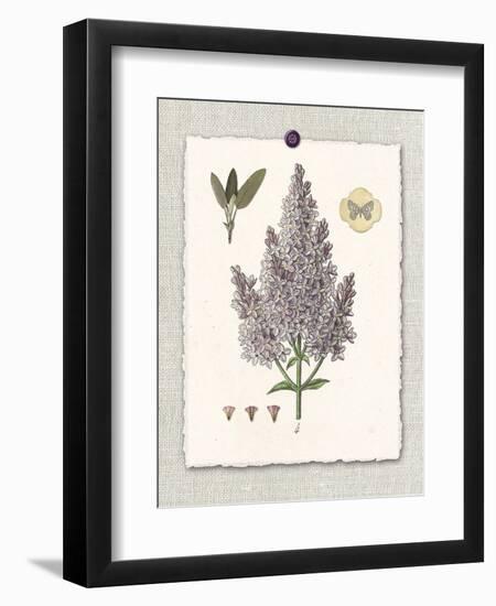 Paris Flea Market Lilacs-Devon Ross-Framed Premium Giclee Print