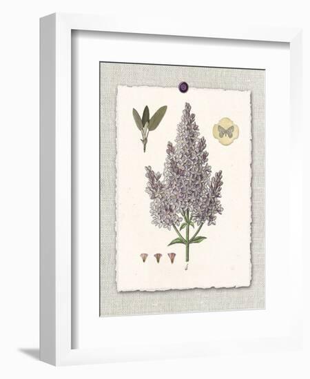 Paris Flea Market Lilacs-Devon Ross-Framed Premium Giclee Print