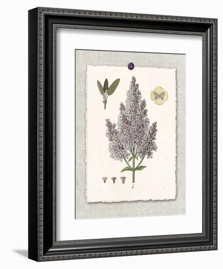 Paris Flea Market Lilacs-Devon Ross-Framed Premium Giclee Print