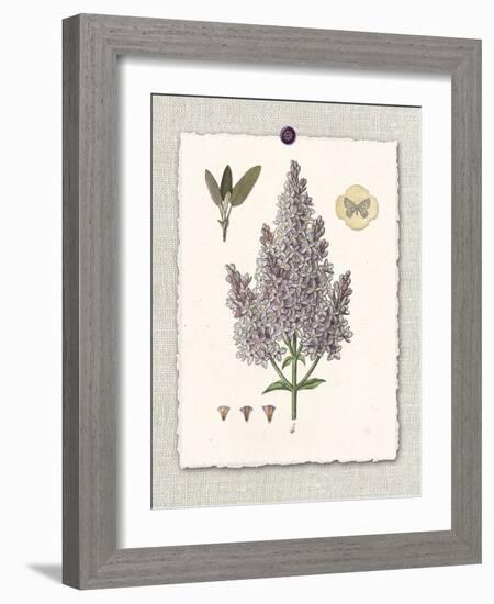 Paris Flea Market Lilacs-Devon Ross-Framed Art Print