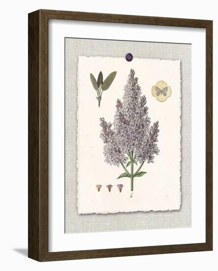 Paris Flea Market Lilacs-Devon Ross-Framed Art Print