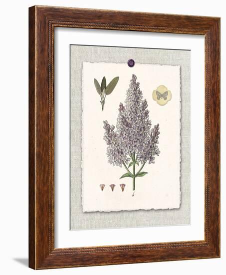 Paris Flea Market Lilacs-Devon Ross-Framed Art Print