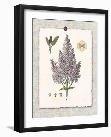 Paris Flea Market Lilacs-Devon Ross-Framed Art Print