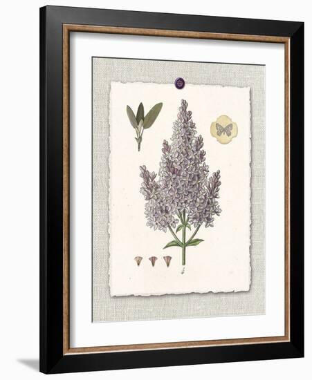 Paris Flea Market Lilacs-Devon Ross-Framed Art Print