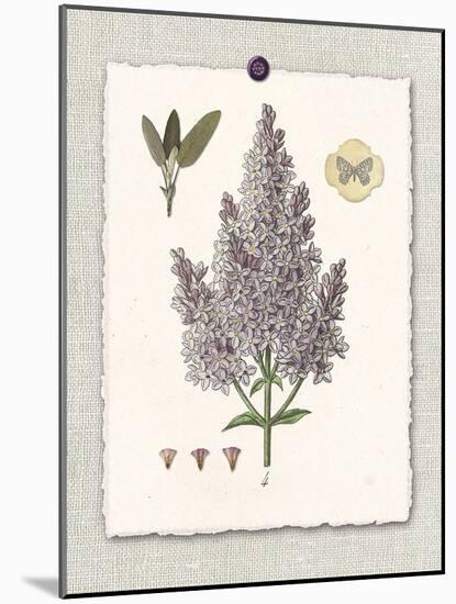 Paris Flea Market Lilacs-Devon Ross-Mounted Art Print