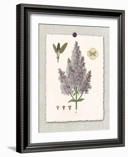 Paris Flea Market Lilacs-Devon Ross-Framed Art Print