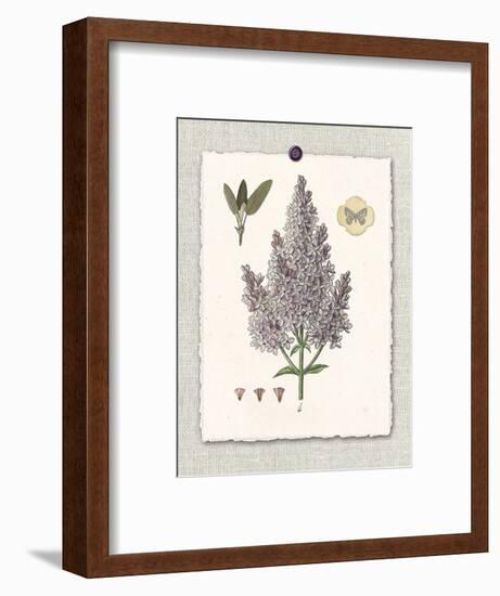 Paris Flea Market Lilacs-Devon Ross-Framed Art Print