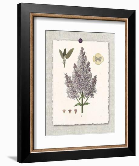 Paris Flea Market Lilacs-Devon Ross-Framed Art Print