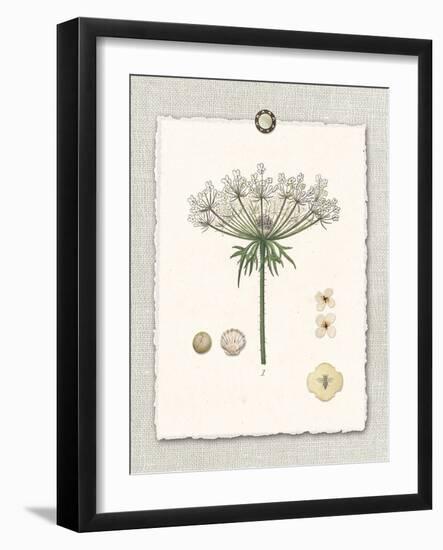 Paris Flea Market Queen Anne's Lace-Devon Ross-Framed Art Print