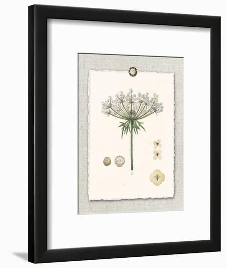 Paris Flea Market Queen Anne's Lace-Devon Ross-Framed Art Print