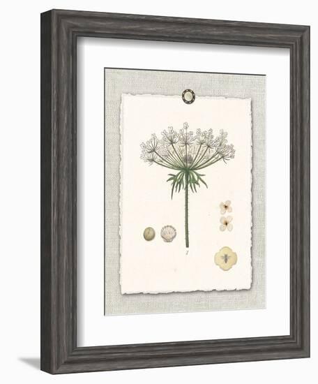 Paris Flea Market Queen Anne's Lace-Devon Ross-Framed Art Print