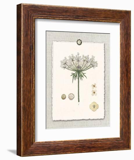 Paris Flea Market Queen Anne's Lace-Devon Ross-Framed Art Print