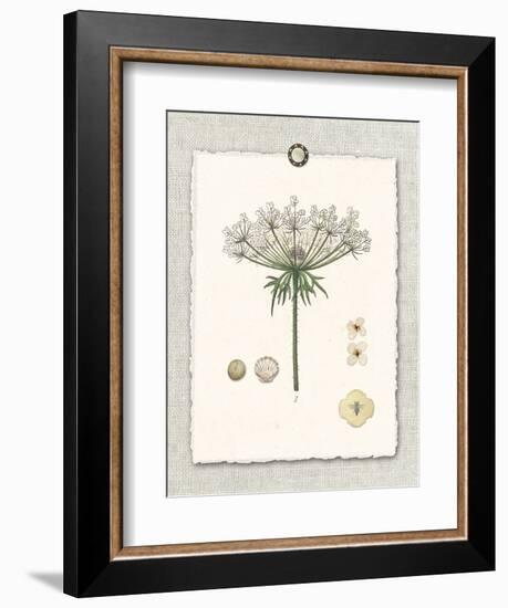 Paris Flea Market Queen Anne's Lace-Devon Ross-Framed Art Print