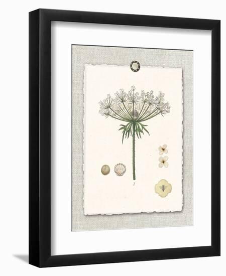 Paris Flea Market Queen Anne's Lace-Devon Ross-Framed Art Print