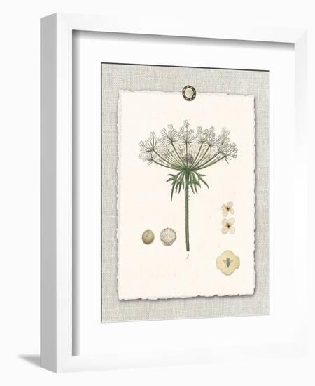 Paris Flea Market Queen Anne's Lace-Devon Ross-Framed Art Print