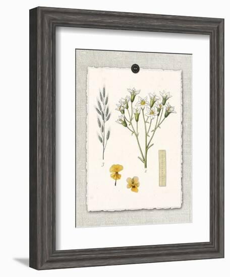 Paris Flea Market White Floral-Devon Ross-Framed Art Print