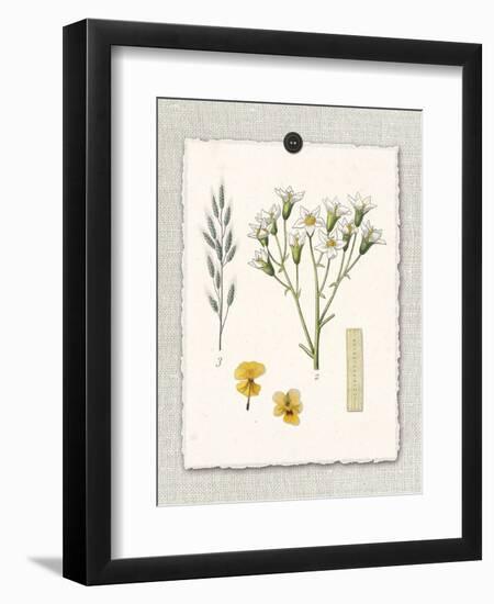 Paris Flea Market White Floral-Devon Ross-Framed Art Print