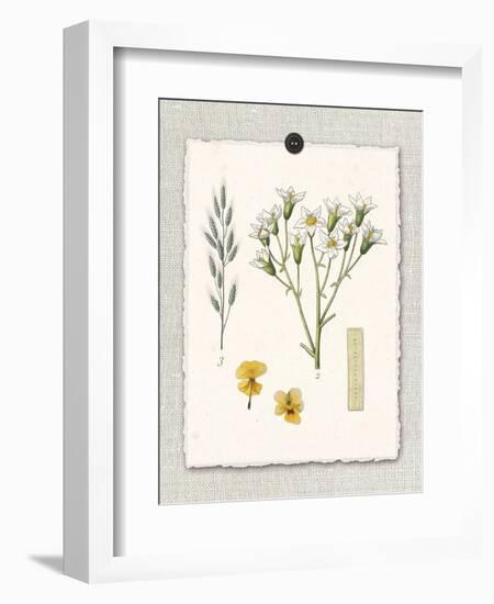 Paris Flea Market White Floral-Devon Ross-Framed Art Print