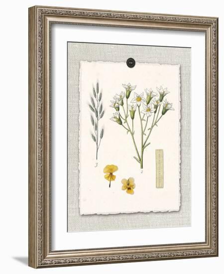 Paris Flea Market White Floral-Devon Ross-Framed Art Print