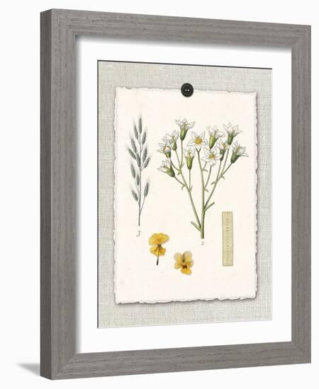 Paris Flea Market White Floral-Devon Ross-Framed Art Print