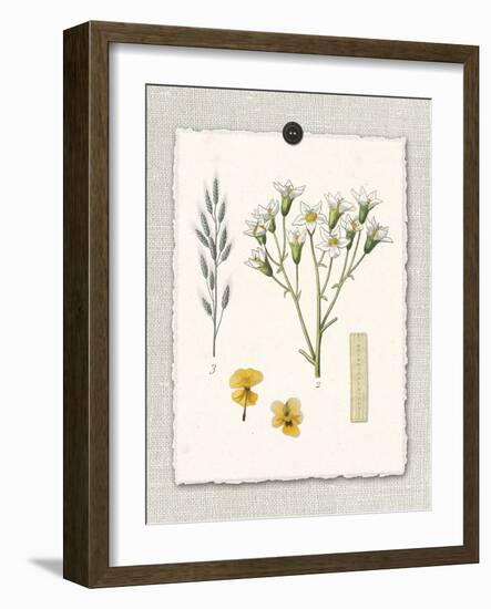 Paris Flea Market White Floral-Devon Ross-Framed Art Print