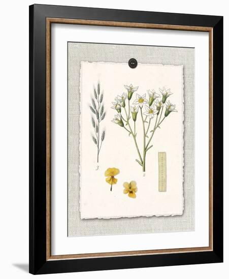 Paris Flea Market White Floral-Devon Ross-Framed Art Print