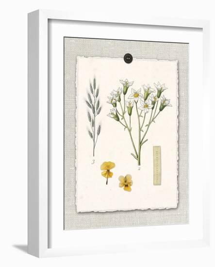 Paris Flea Market White Floral-Devon Ross-Framed Art Print