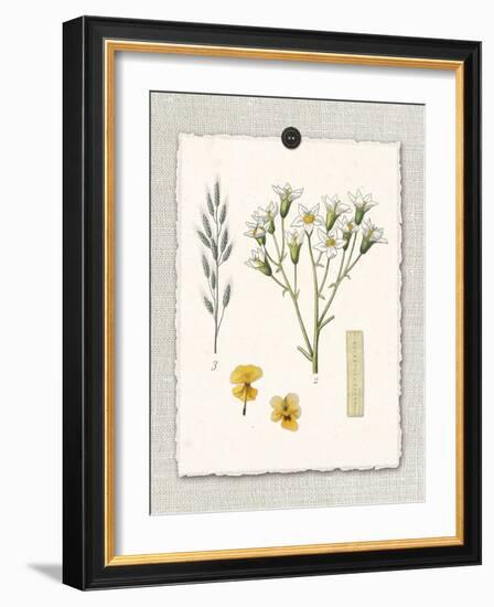 Paris Flea Market White Floral-Devon Ross-Framed Art Print