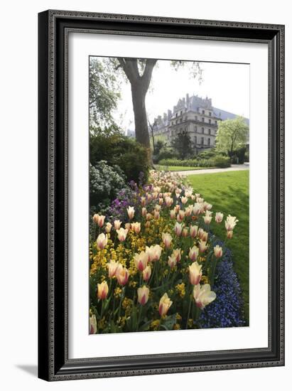 Paris Flowers-Chris Bliss-Framed Photographic Print