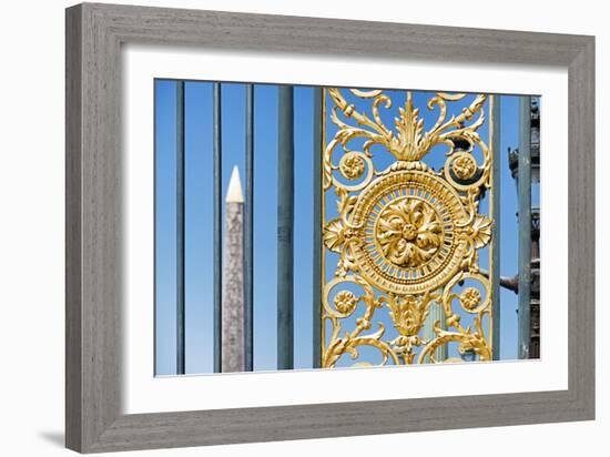 Paris Focus - Close-up on a Portal-Philippe Hugonnard-Framed Photographic Print