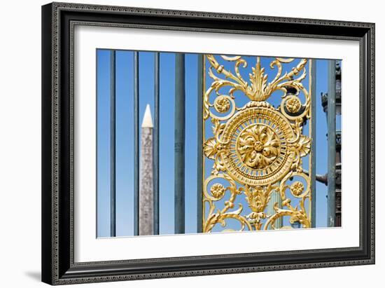 Paris Focus - Close-up on a Portal-Philippe Hugonnard-Framed Photographic Print