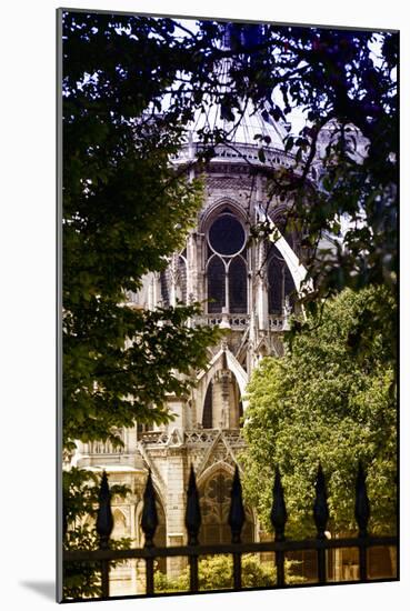 Paris Focus - Notre Dame Cathedral-Philippe Hugonnard-Mounted Photographic Print