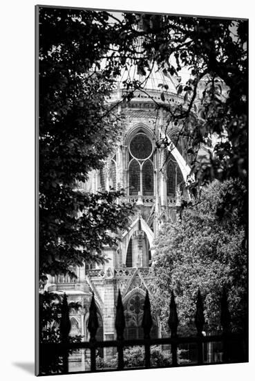 Paris Focus - Notre Dame Cathedral-Philippe Hugonnard-Mounted Photographic Print