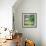 Paris Focus - Parisian Garden Chair-Philippe Hugonnard-Framed Photographic Print displayed on a wall