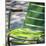 Paris Focus - Parisian Garden Chair-Philippe Hugonnard-Mounted Photographic Print