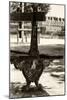 Paris Focus - Public Bench-Philippe Hugonnard-Mounted Photographic Print