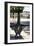 Paris Focus - Public Bench-Philippe Hugonnard-Framed Photographic Print