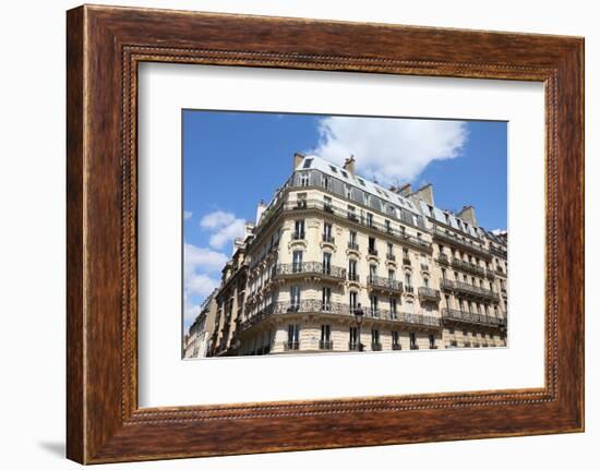 Paris, France-Tupungato-Framed Premium Photographic Print