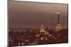 Paris from Notre Dame-Shelley Lake-Mounted Photographic Print