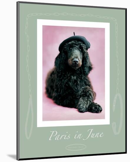 Paris in June-Rachael Hale-Mounted Premium Giclee Print