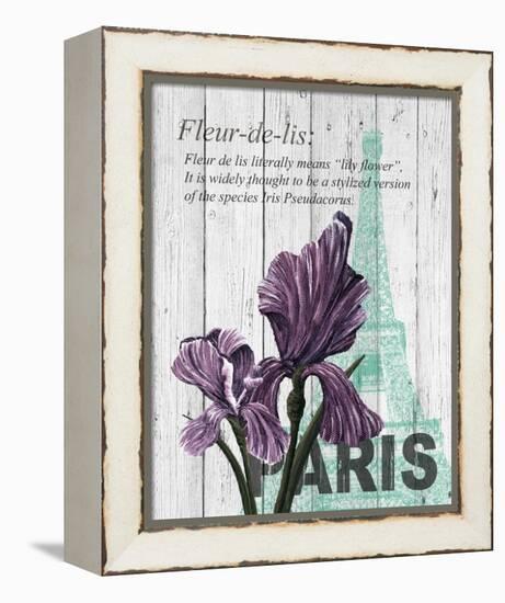 Paris Iris-Alicia Soave-Framed Stretched Canvas