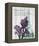 Paris Iris-Alicia Soave-Framed Stretched Canvas