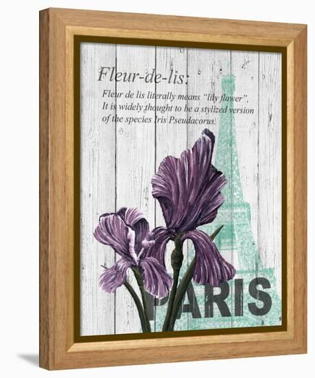 Paris Iris-Alicia Soave-Framed Stretched Canvas